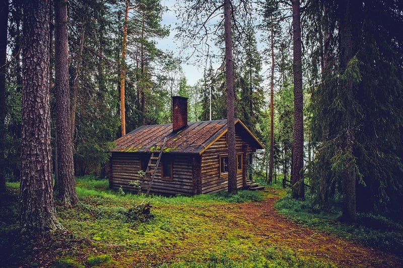 Treehouse Glamping